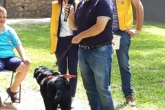 9-giugno00007