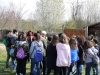 ALBERI-CUNEO00001