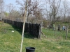 ALBERI-CUNEO00003