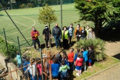 LC-Linea-Green-Riva-Ligure_15-1