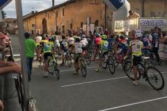PREMIO ZIGLIOLI 2